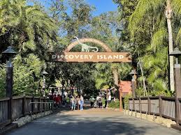 Animal Kingdom Nap Spot