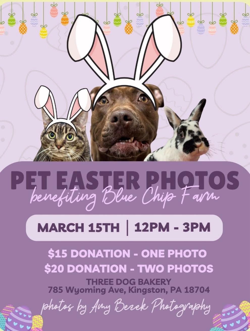 Dog posing for Easter Bunny photo event