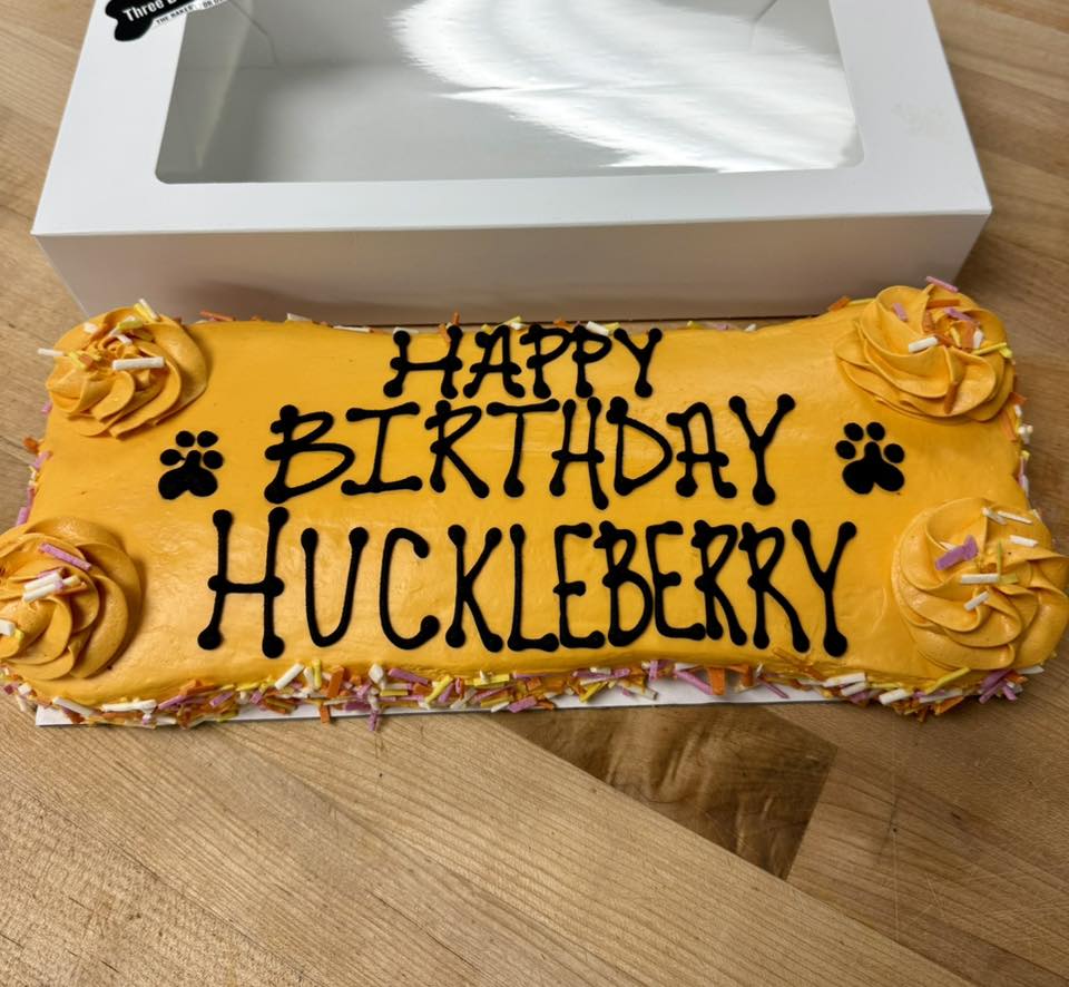 large bone shaped dog cake