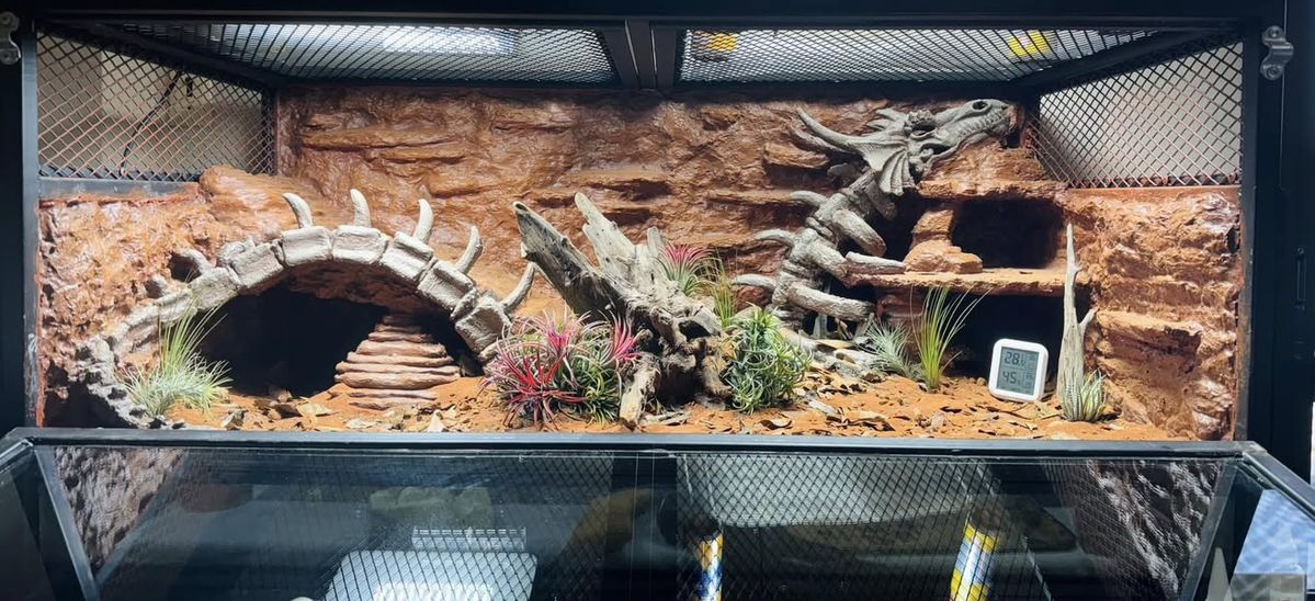 Tank Setup