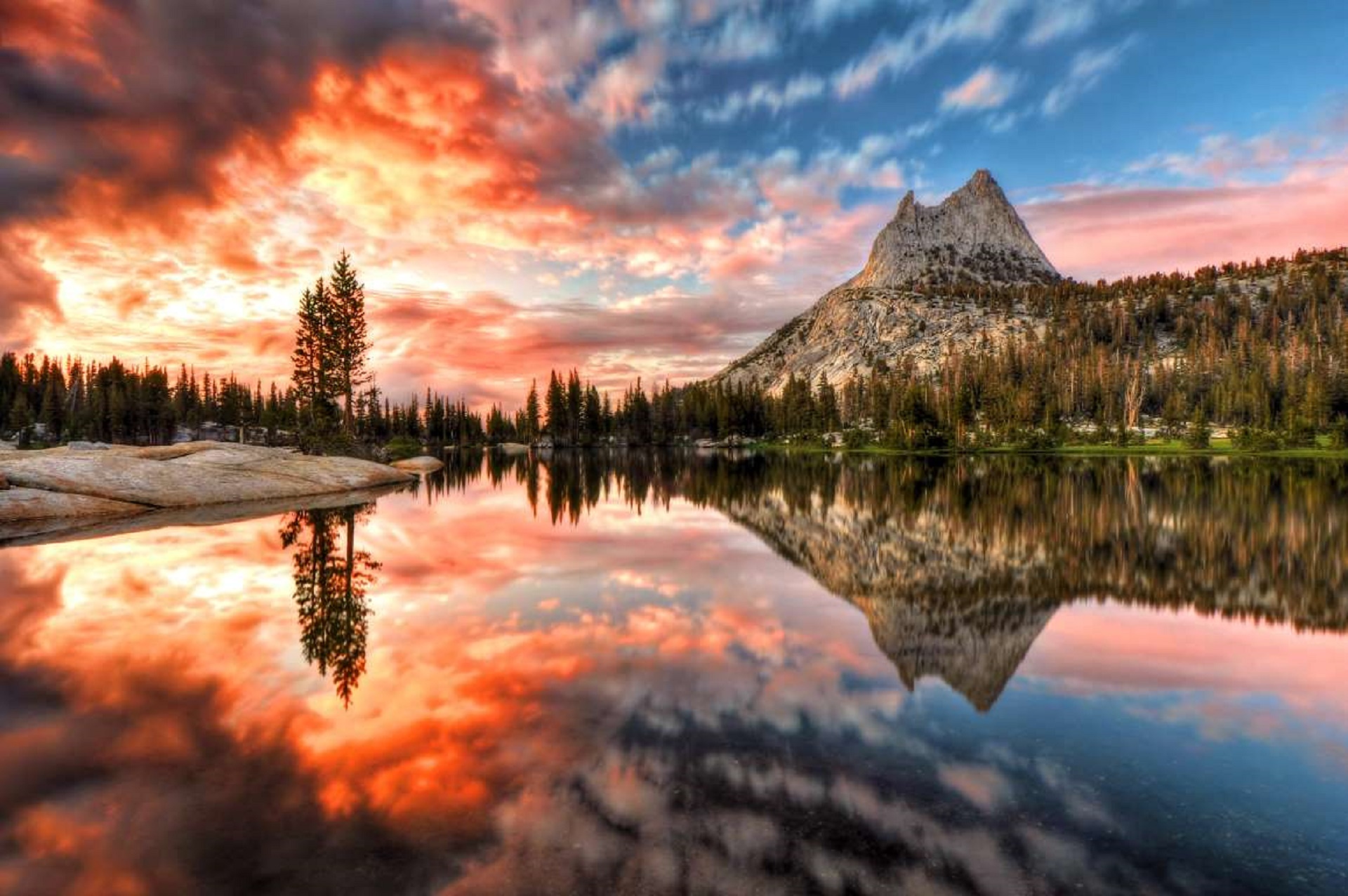 Scenic view