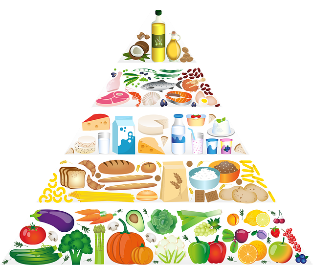 Food Pyramid
