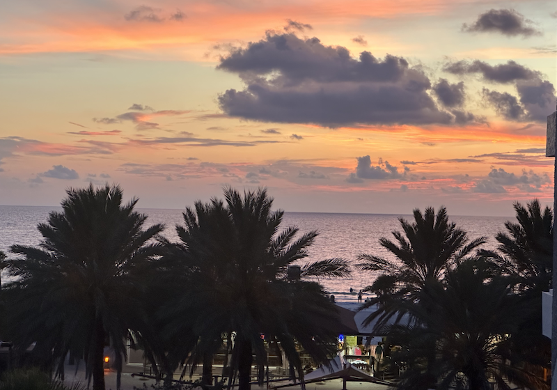 Palm trees