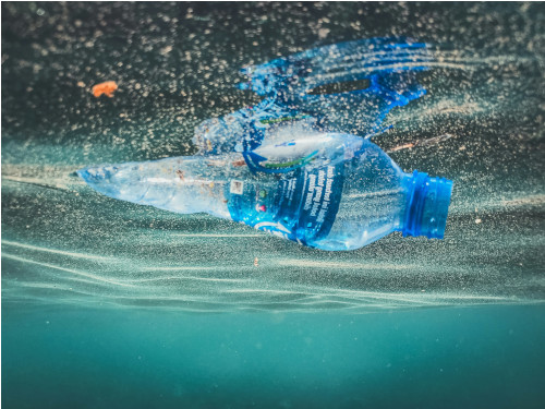 water bottle in water